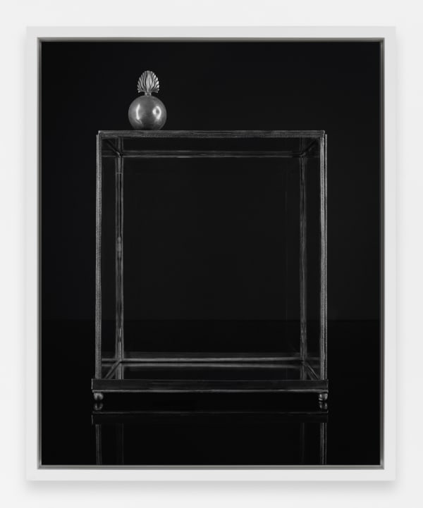 Sarah Jones Vitrine (Flame) (I), 2023