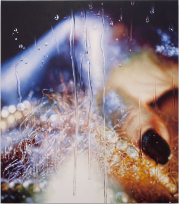 Marilyn Minter Burning Bush, 2013