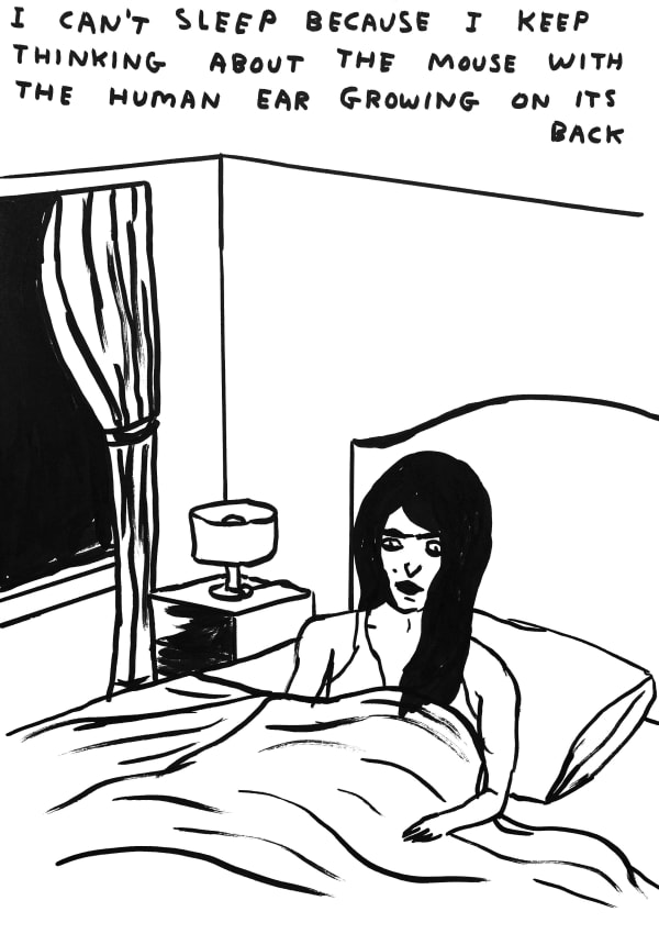 David Shrigley Untitled (I Can't Sleep Because), 2020