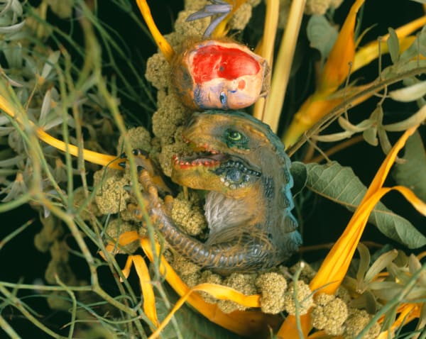 Nobuyoshi Araki Untitled (Flower Cemetery), 2017