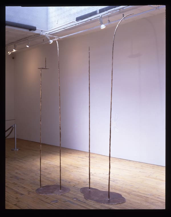 Michael Joo Flower Arrangement, 1999