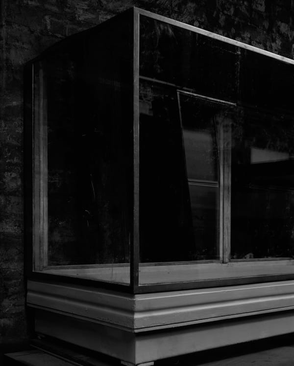 Sarah Jones Vitrine (I/I), 2014