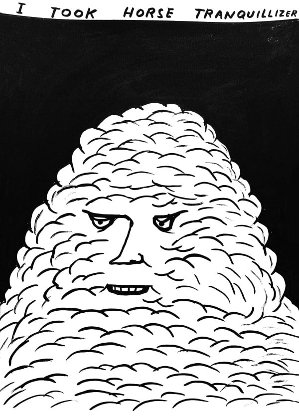 David Shrigley Untitled (I Took Horse Tranquillizer), 2020