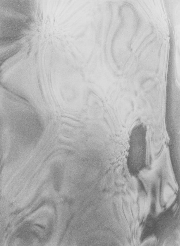 Jochen Lempert Reflection (Polke and Goya), 2024