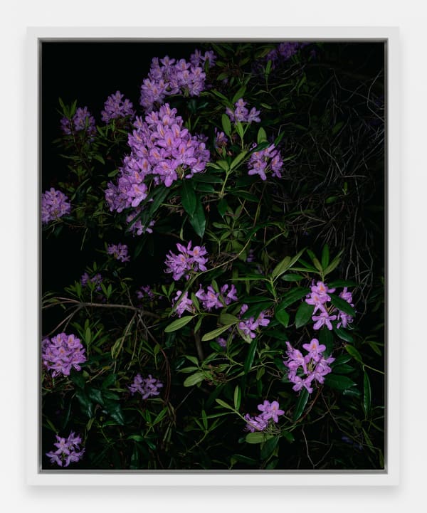 Sarah Jones Conductor 71 (after Powell and Pressburger) (I), 2023