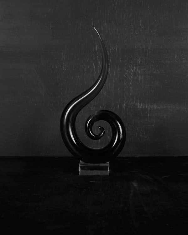 Sarah Jones Cabinet (II) (After Man Ray) (II), 2013