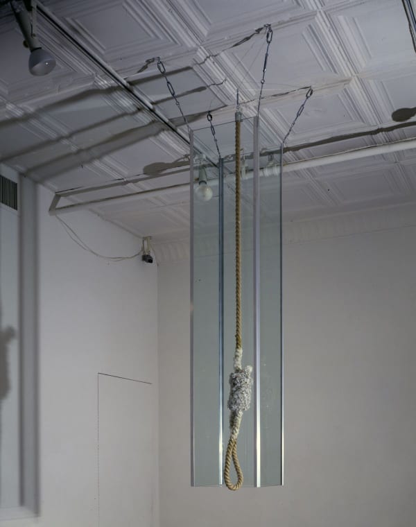 Michael Joo Crystal Noose, 1999