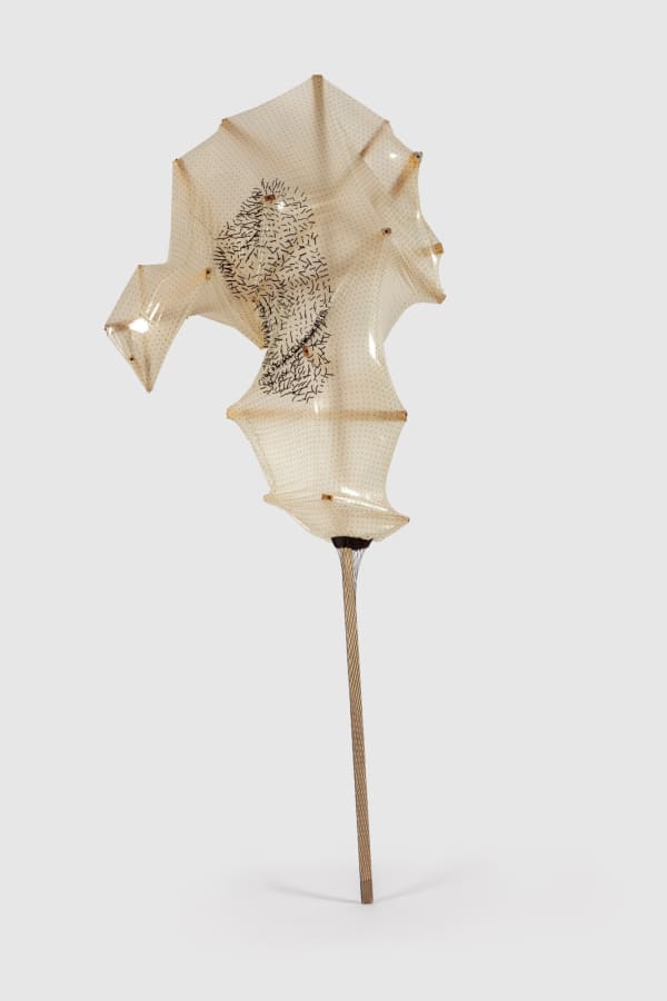 Lara Schnitger Slut-stick Androgens, 2017