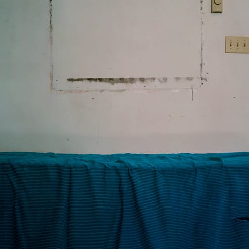 Sarah Jones, Colony (Couch) (II), 2005