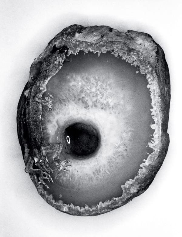 Nobuyoshi Araki Untitled (Erotos), 1993