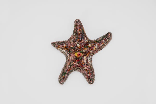 Roxanne Jackson, One Eyed Starfish (Rodan Commission), 2025