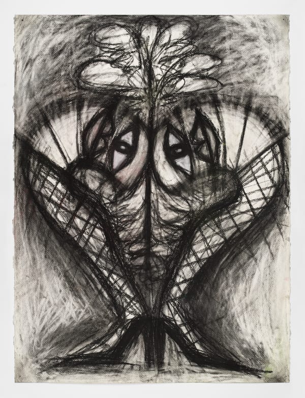 Hein Koh, Uterine Carrots, 2020