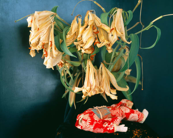 Nobuyoshi Araki Untitled (Flower Cemetery), 2017