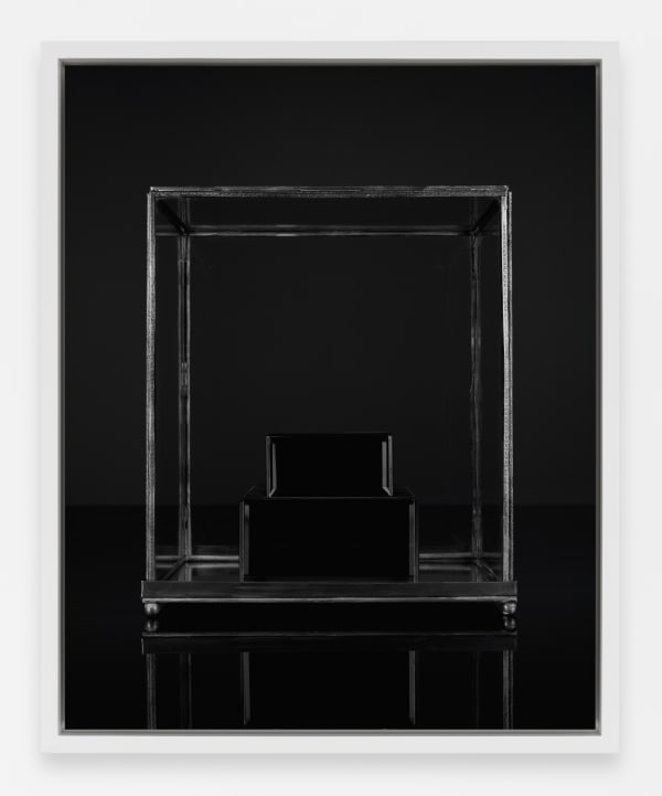 Sarah Jones Vitrine (Plinth) (I), 2023