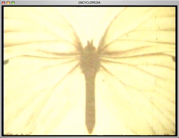 Wilhelm Sasnal Untitled (six short films) 2002-2003, 2002-2003