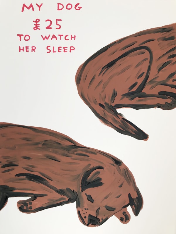 David Shrigley Untitled (My Dog / £25 To Watch Her Sleep), 2019