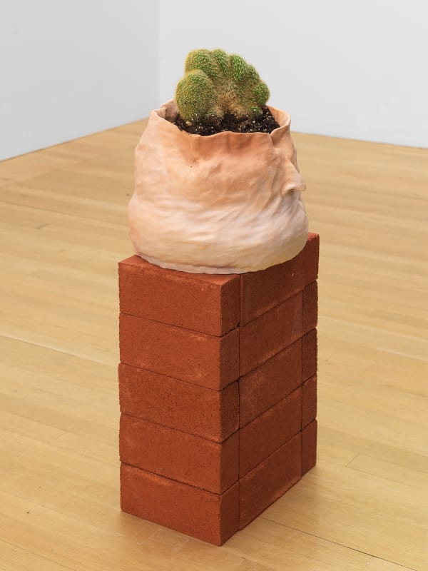 Calvin Marcus Nose Pot, 2017