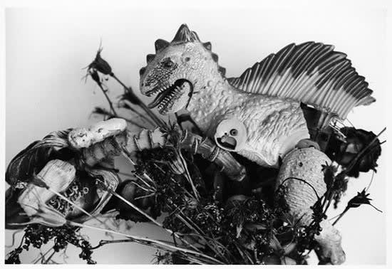 Nobuyoshi Araki Untitled (Eros Diary), 2015