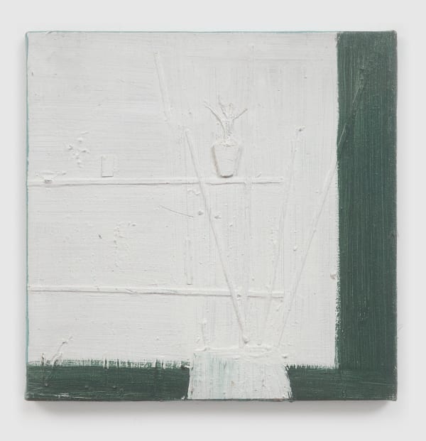 Merlin James Shelves and Plants, 1992-1995