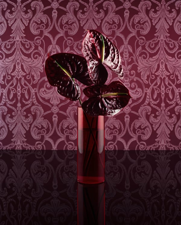 Sarah Jones, Vitrine (II) (Vienna/London), 2018