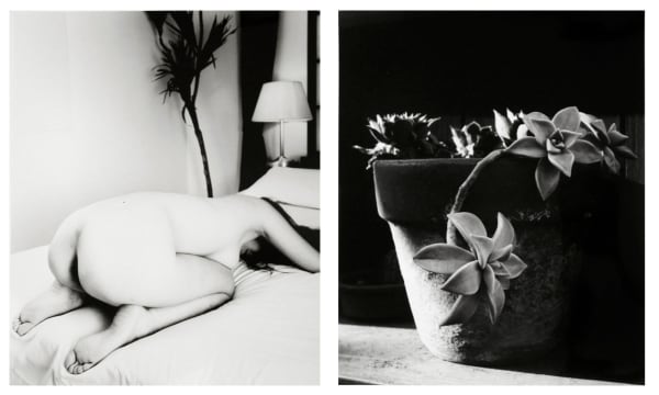Nobuyoshi Araki Tokyo Nude (31), 1989