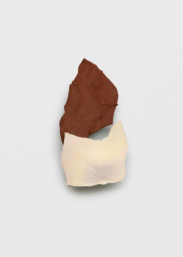 Liz Larner, fond variance, 2023