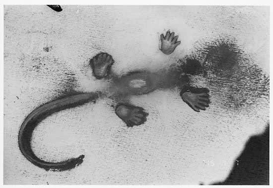 Nobuyoshi Araki Untitled (Eros Diary), 2015