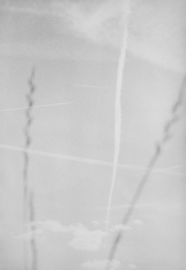 Jochen Lempert Agropyron, Luftraum, 2024