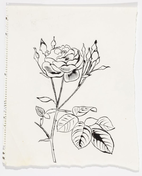 Andy Warhol Rose With Many Buds, ca. 1957