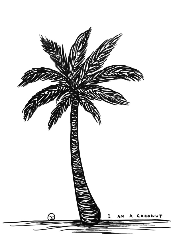 David Shrigley Untitled (I am a Coconut), 2020