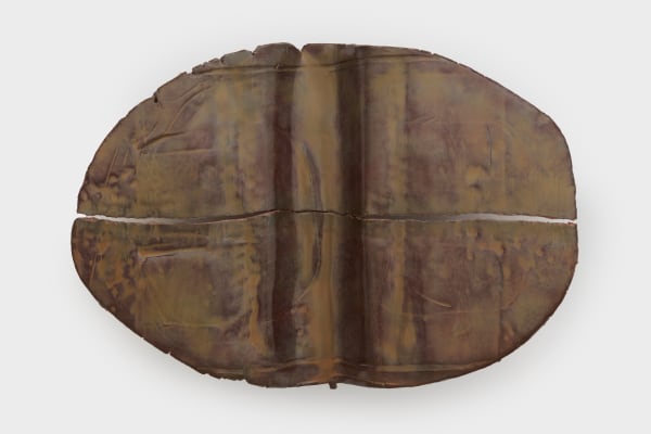 Liz Larner, Uncommon return of light, 2025