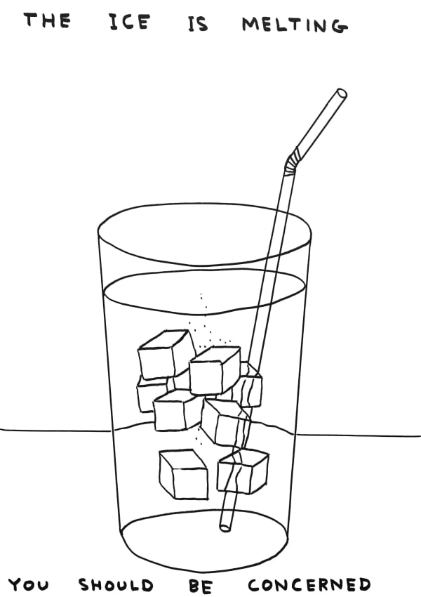 David Shrigley Untitled (The Ice is Melting), 2020