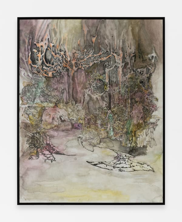 Arden Draybus Taw Berry, 2025