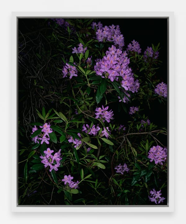 Sarah Jones Conductor 71 (after Powell and Pressburger) (II), 2023