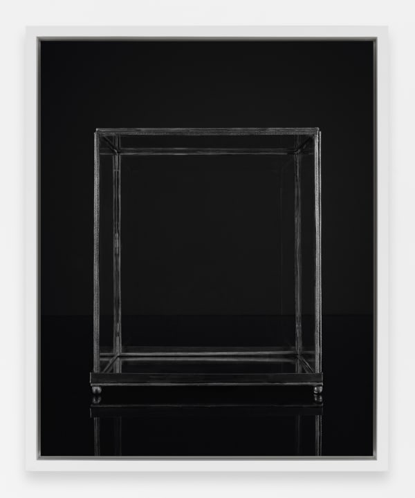 Sarah Jones Vitrine (III), 2023
