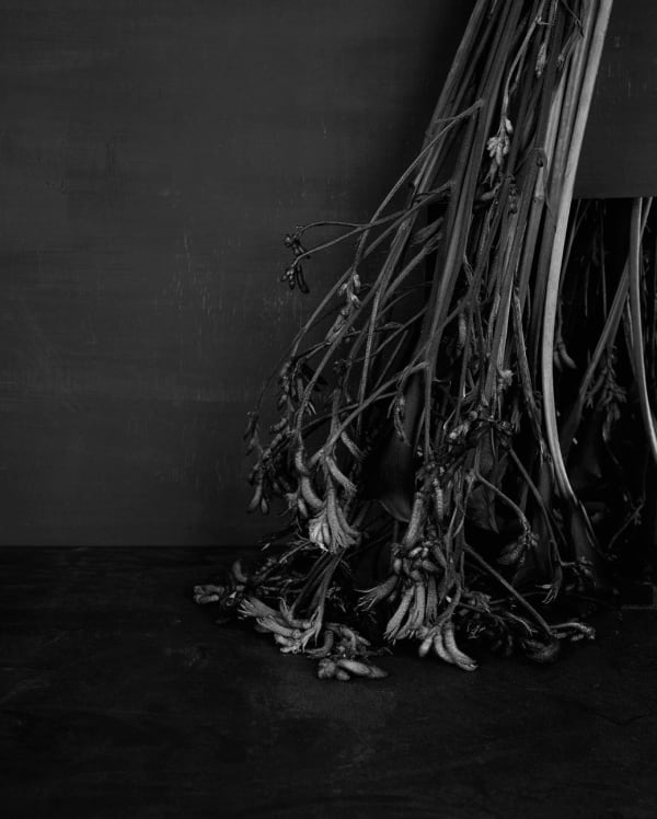 Sarah Jones Cabinet (IV) (Red Velvet), 2013