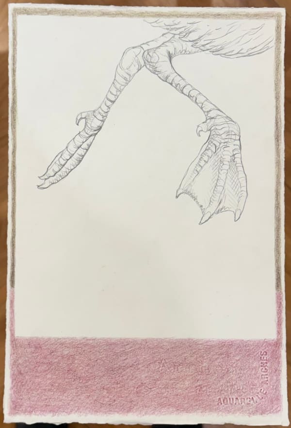 Stephanie Temma Hier Below the surface (study), 2025