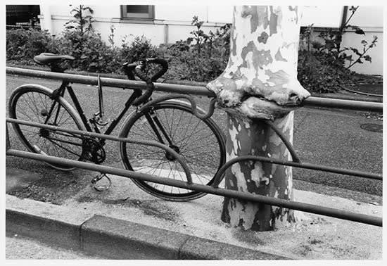 Nobuyoshi Araki Untitled (Eros Diary), 2015