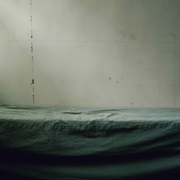 Sarah Jones Colony (Couch) (III), 2005