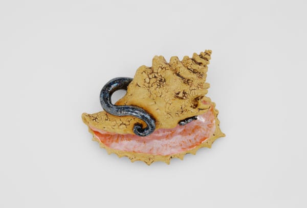 Roxanne Jackson Conch Shell, 2024