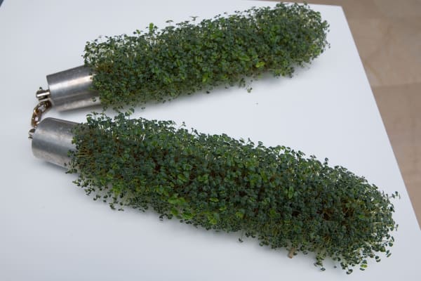 Michael Joo Chia!, 1999