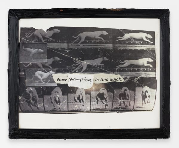 Teresa Farrell Shrimpface, 2022