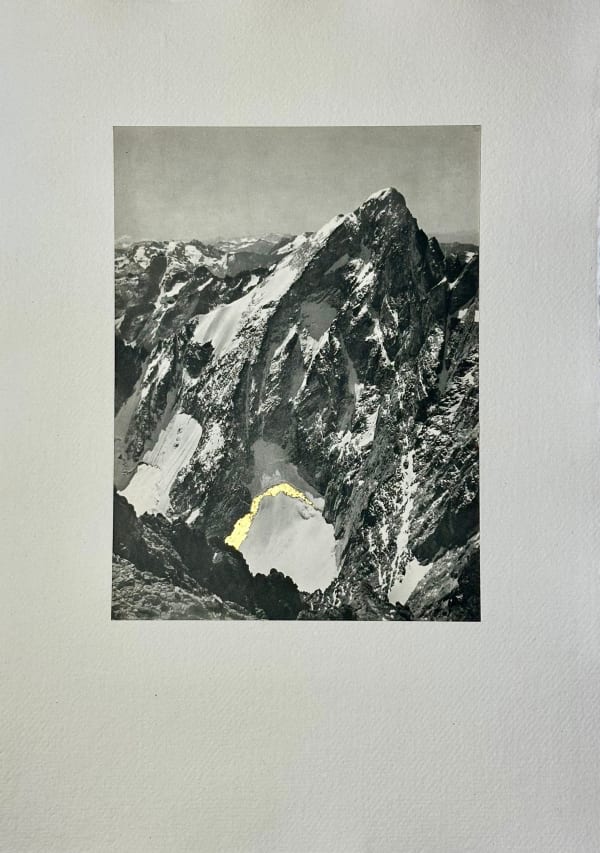 Godelieve Vandamme, La Pointe Swan, 2022-2024