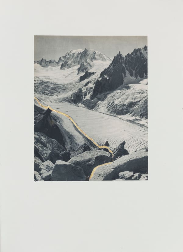 Godelieve Vandamme, La dent du requin , 2025