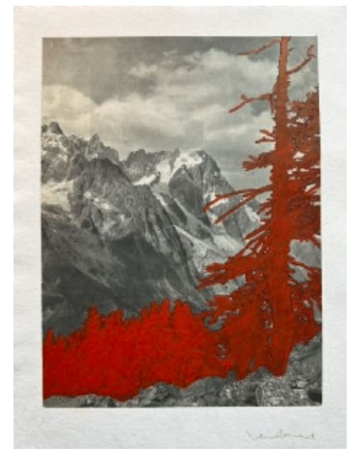 Godelieve Vandamme, Les Petits Alpins (Les Grandes Jorasses), 2021