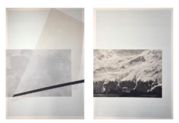 Godelieve Vandamme, L’océan alpin (dyptique), 2019