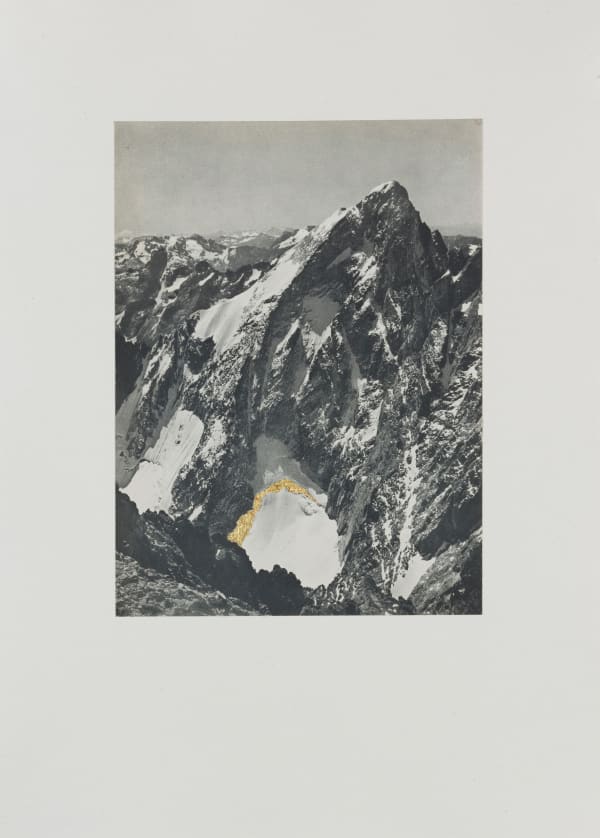 Godelieve Vandamme, La Pointe Swan, 2025