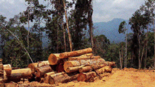 Taman Kenangan