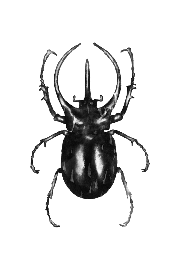 Study Resolute Series I