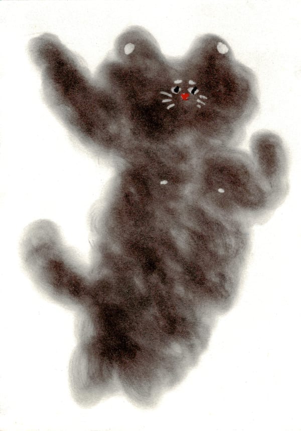 Is this a dog or a bear?